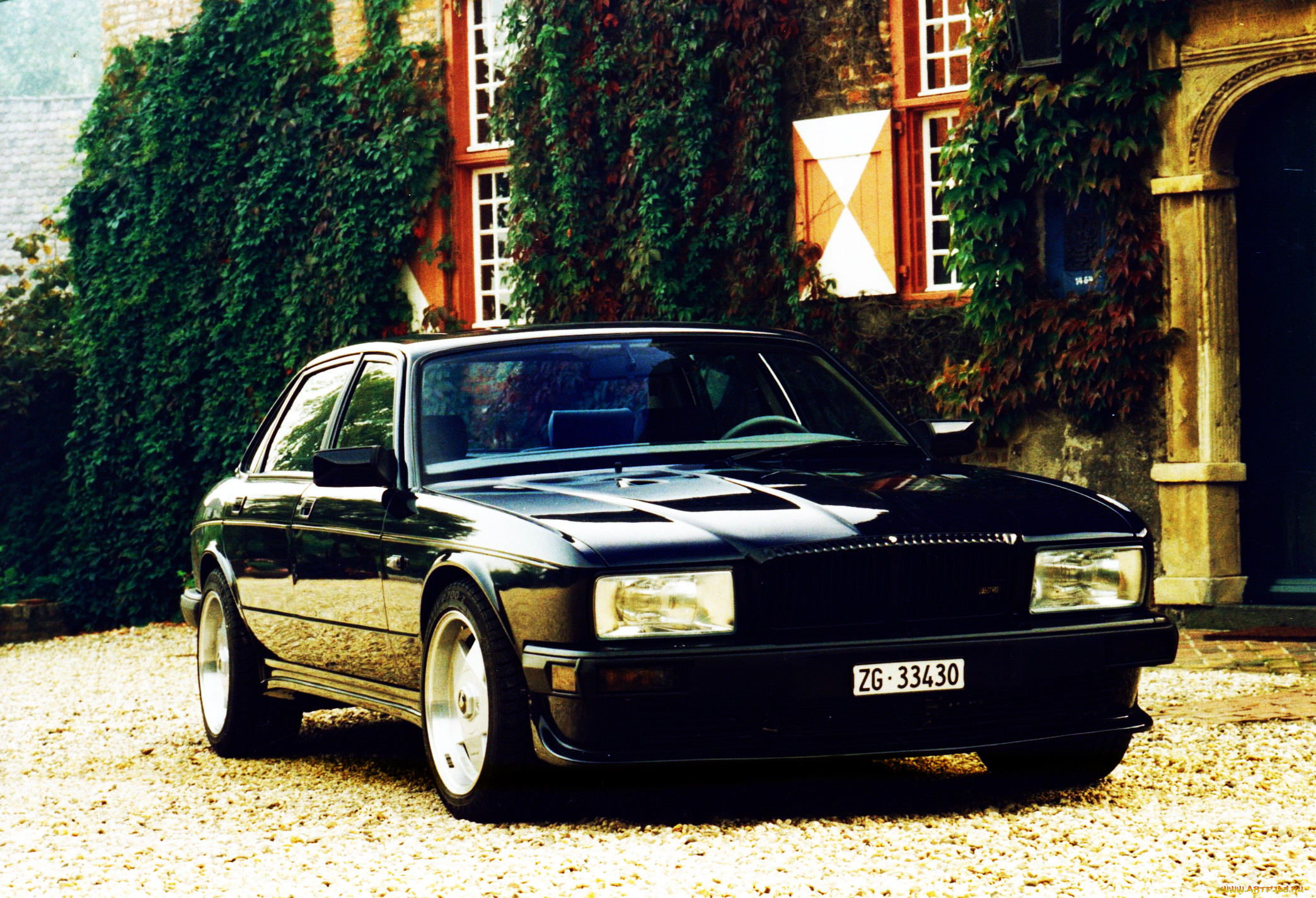 , jaguar